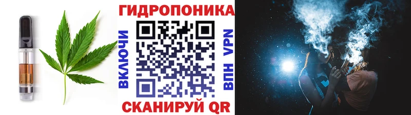 Canna-Cookies марихуана  где найти   блэк спрут как зайти  Шимановск 