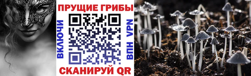 Галлюциногенные грибы ЛСД  Шимановск 